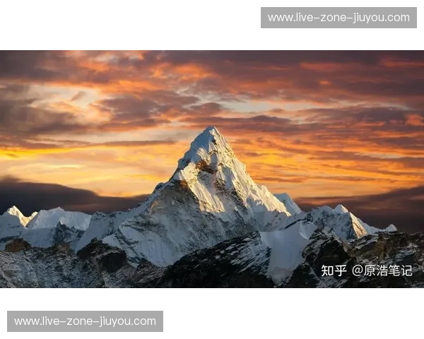 跨越时空的红蓝博弈：休斯顿火箭vs夏洛特山猫，那段被时光铭刻的硬核较量